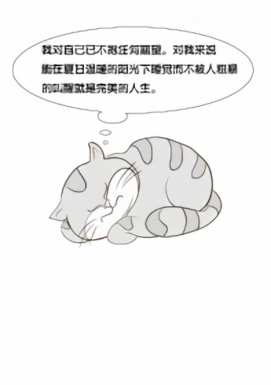 花猫悟语漫画