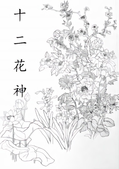 十二花神漫画