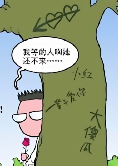 小测试（湖边有棵告白树）漫画