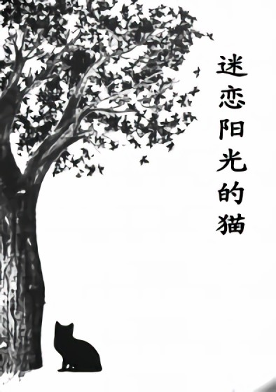 迷恋阳光的猫漫画