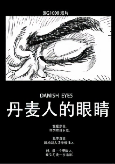 丹麦人的眼睛漫画