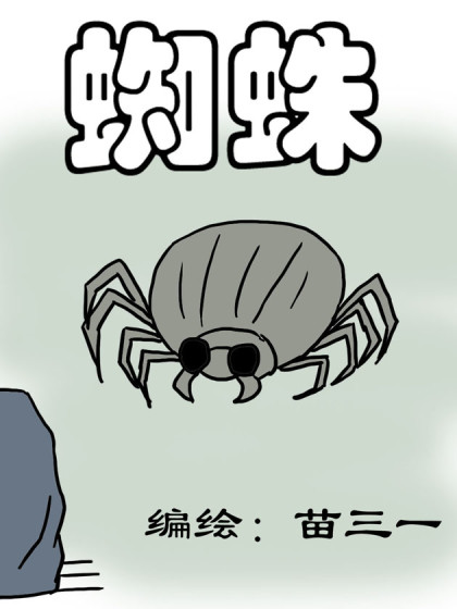 蜘蛛漫画