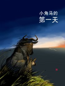 小角马的第一天漫画