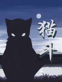 猫斗漫画