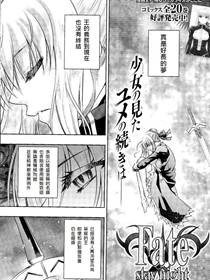 Fate/staynight漫画