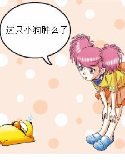 吃小舞胡萝卜的狗，伤不起漫画