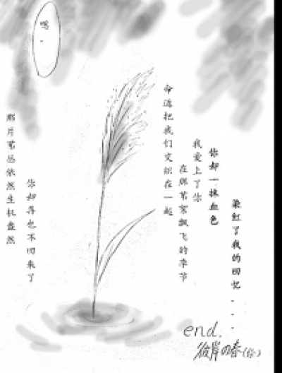 风中的芦苇漫画