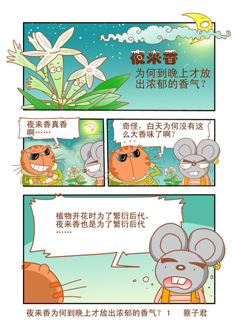 无花果不开花漫画