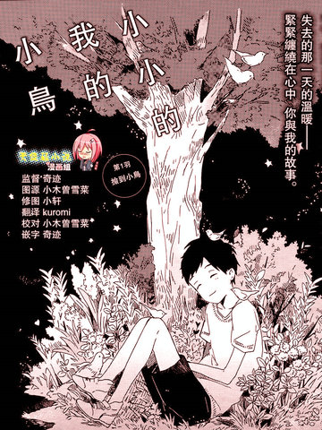 小小的我的小鸟漫画