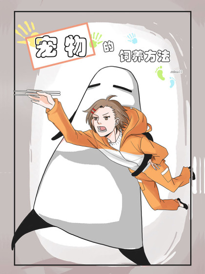 宠物的饲养方法漫画