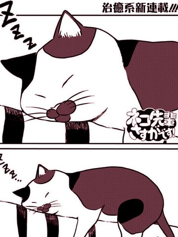 流石猫前辈漫画