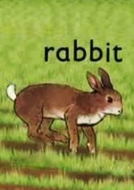 Rabbit漫画