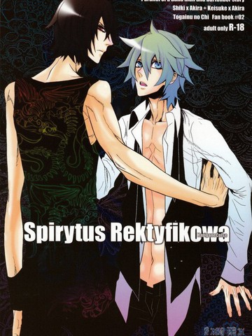 SPIRYTUS REKTYFIKOWABY漫画