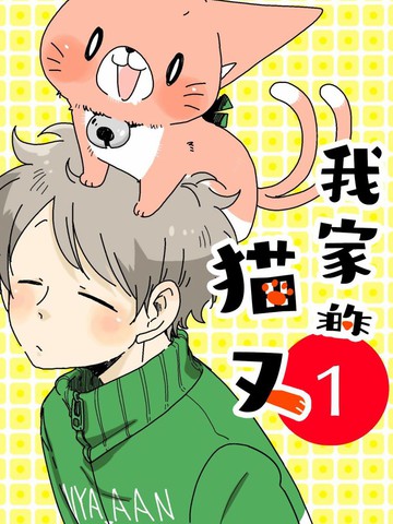 我家的猫又漫画