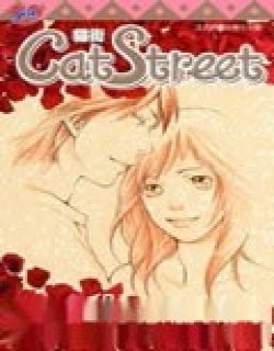 Cat Street猫街漫画