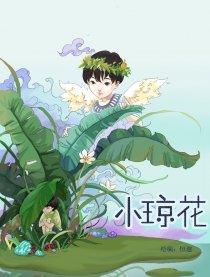 小琼花漫画