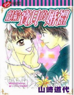 献给宝贝的婚礼(山崎道代)漫画