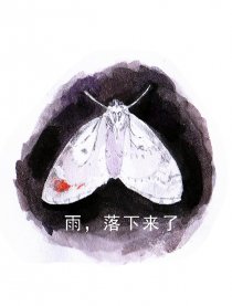 雨，落下来了漫画