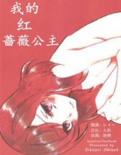 我的红蔷薇公主漫画