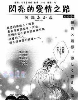 闪亮的爱情之路漫画