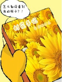 村花手记漫画