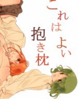 这是个好抱枕漫画