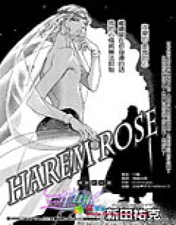 Harem Rose 禁断的玫瑰漫画