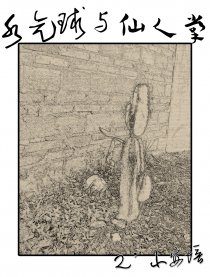 水气球与仙人掌漫画