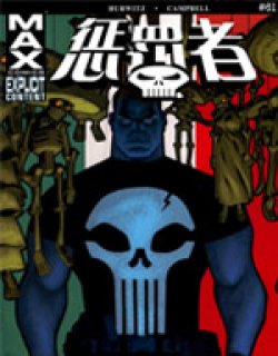 惩罚者MAX漫画