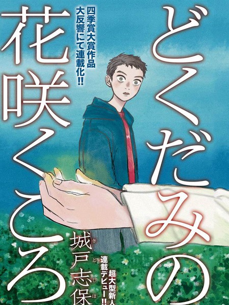 鱼腥草花开时漫画