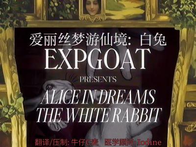爱丽丝梦游仙境：白兔