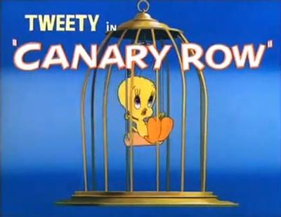 小小鸟智斗黑猫