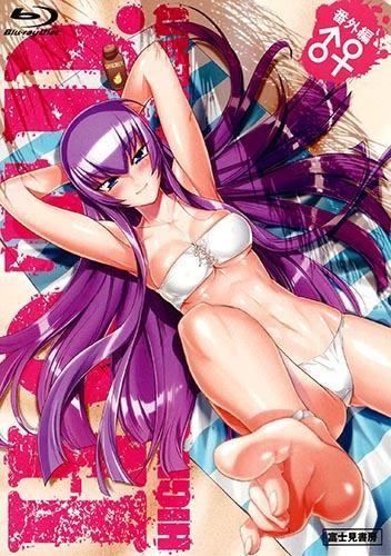 学园默示录 HIGHSCHOOL OF THE DEAD 番外篇