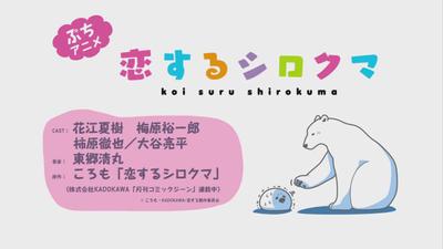 恋するシロクマ 「禁断の恋」篇