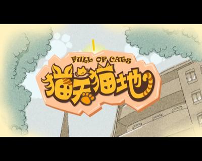猫天猫地