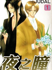 夜之瞳