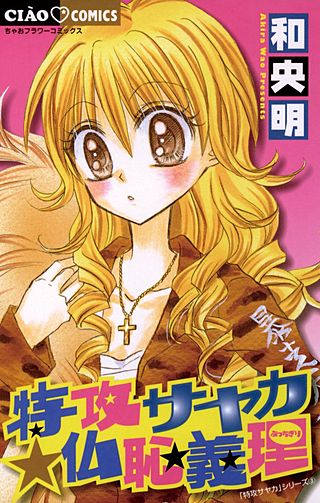 特攻サヤカ☆仏恥義理