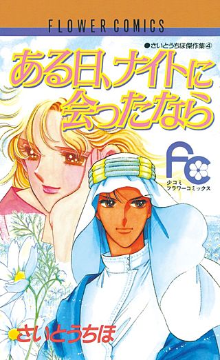 ある日、ナイトに会ったなら